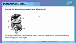 Pembahasan