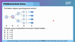 Pembahasan