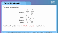 Pembahasan