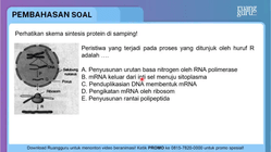 Pembahasan