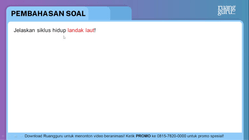 Pembahasan