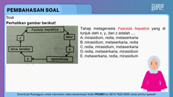 Pembahasan