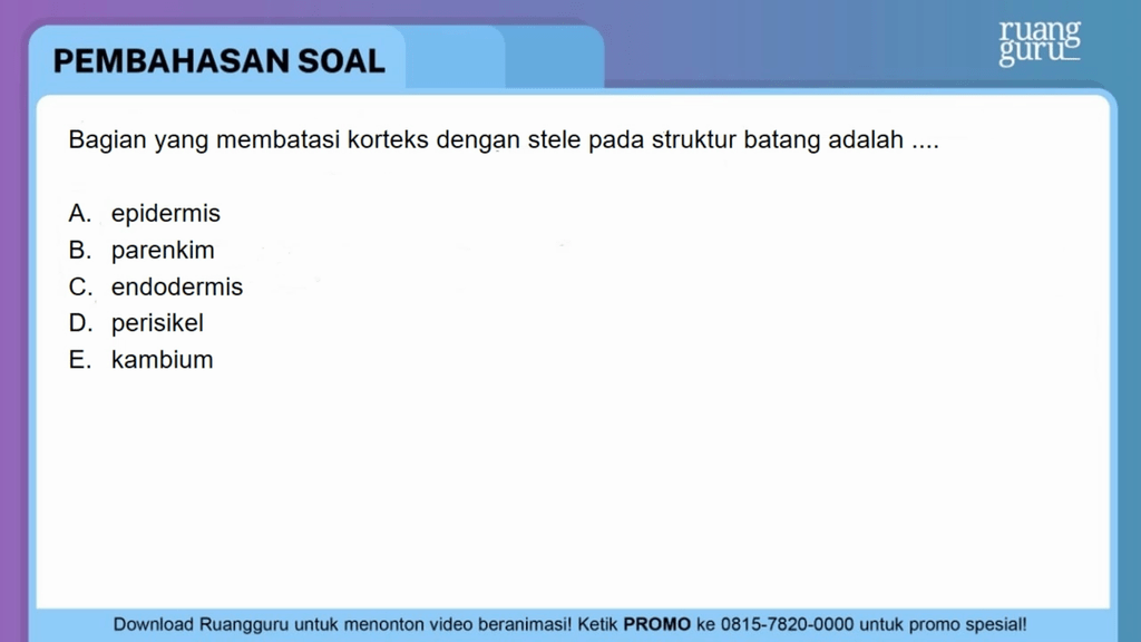 Bagian Yang Membatasi Korteks Dengan Stele Pada St