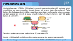 Pembahasan