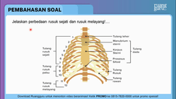 Pembahasan