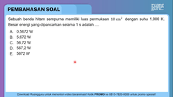 Pembahasan