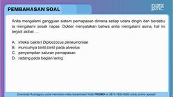 Pembahasan