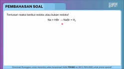 Pembahasan