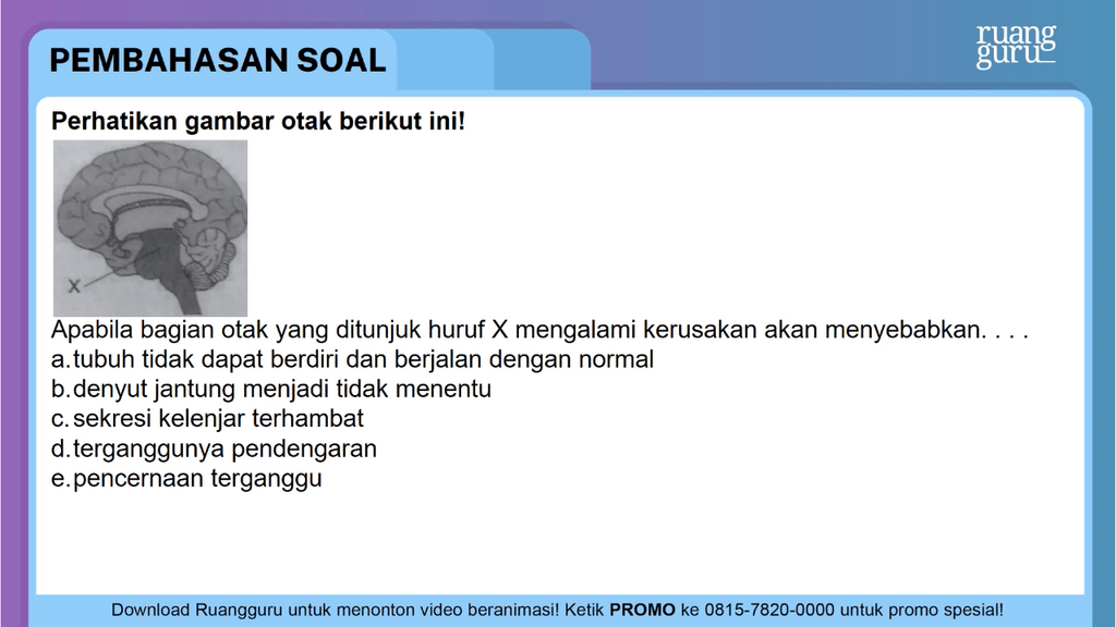 Perhatikan Gambar Otak Berikut Ini! Apabila ...