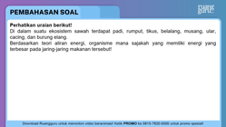 Pembahasan