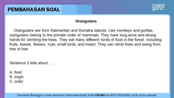 Pembahasan