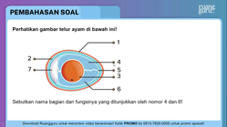 Pembahasan