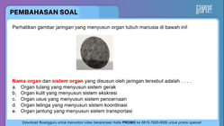 Pembahasan