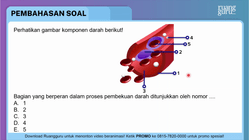 Pembahasan