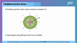 Pembahasan
