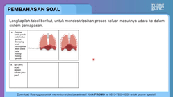 Pembahasan