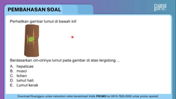 Pembahasan
