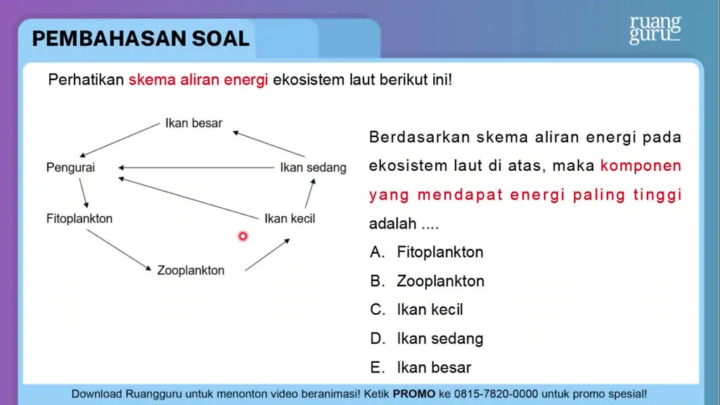 Perhatikan Skema Aliran Energi Ekosistem Laut Beri...