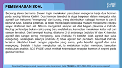 Pembahasan