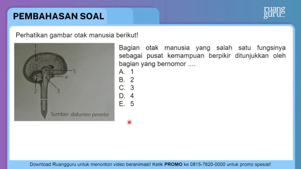 Perhatikan Gambar Otak Manusia Berikut! Bagi...