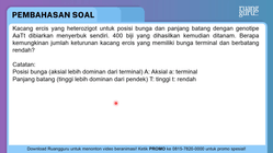 Kacang ercis yang heterozigot untuk posisi bunga d...