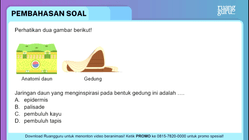 Pembahasan