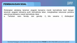 Pembahasan