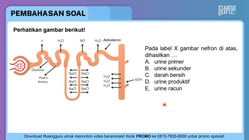 Pembahasan