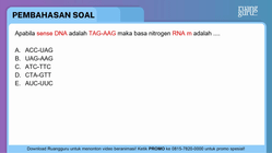 Pembahasan