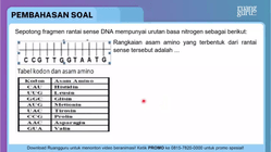 Pembahasan