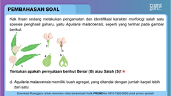 Pembahasan