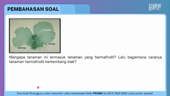 Pembahasan