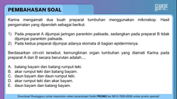 Pembahasan