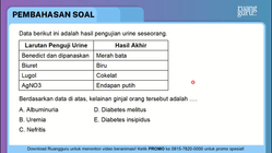 Pembahasan