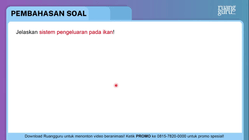 Pembahasan