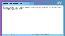Pembahasan