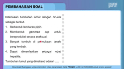 Pembahasan