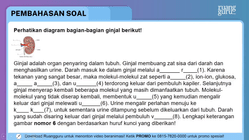 Pembahasan
