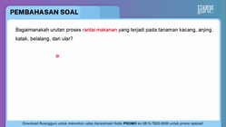 Pembahasan