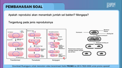 Pembahasan