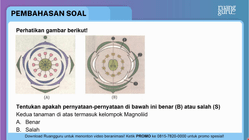 Pembahasan
