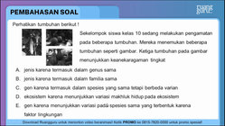 Pembahasan