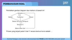 Pembahasan