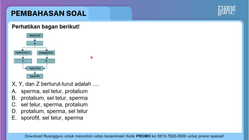 Pembahasan