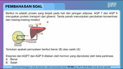 Pembahasan