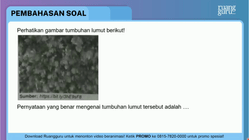 Pembahasan