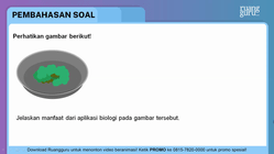 Pembahasan