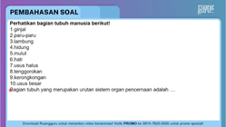 Pembahasan