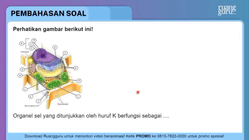 Pembahasan