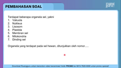 Pembahasan